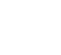 Techspire Services